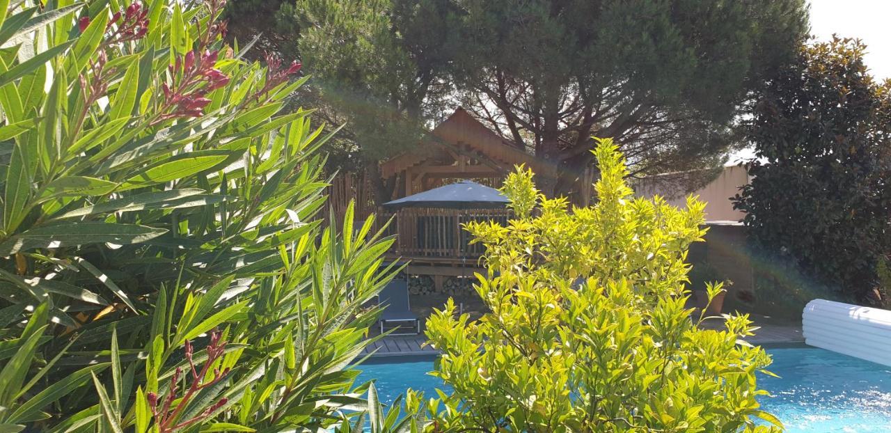 سانت باليه سور مير Le Clos Des Romarins المظهر الخارجي الصورة